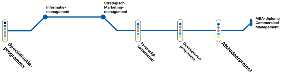 Master in Commercieel Management